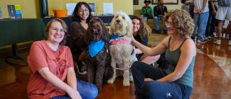 Four students sitting in a lobby petting two service dogs.